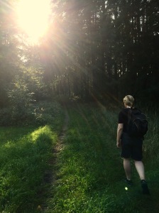 Hiking Wandern Liepnitzssee